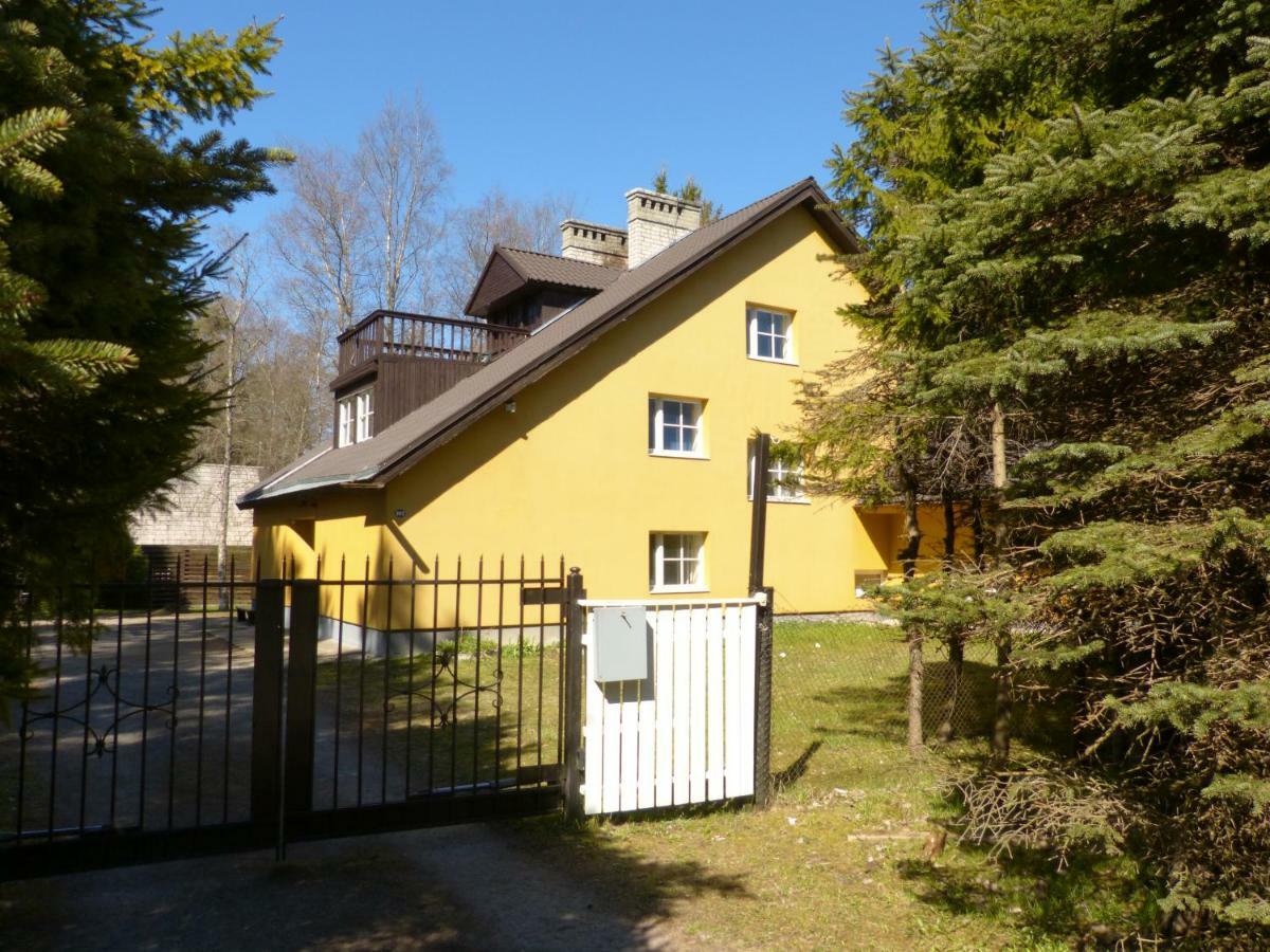 Viva Pirita Hostel Tallinn Exteriér fotografie